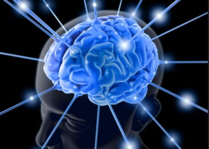 neurology-brain1