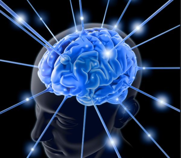 neurology-brain1